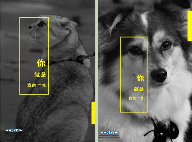 一等奖作品:刘明慧 《责任与担当 》