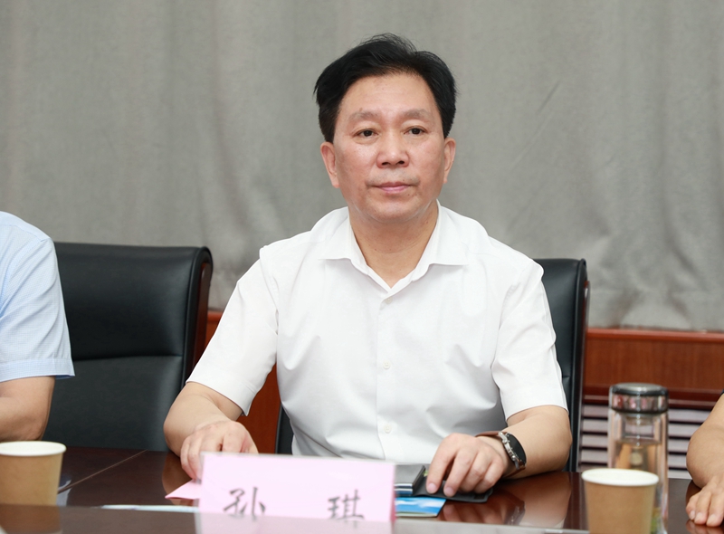 河南省商务厅电商处处长孙琪致辞